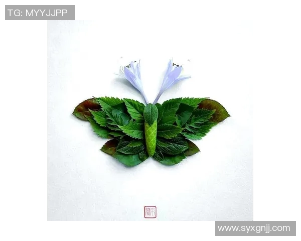 摄影艺术与技术的完美融合探索:从基础技巧到创意表达的全方位解析 摄影艺术与技术的完美融合探索:从基础技巧到创意表达的全方位解析